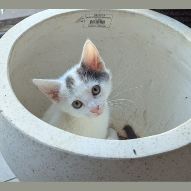 Photo of Mellie Baby