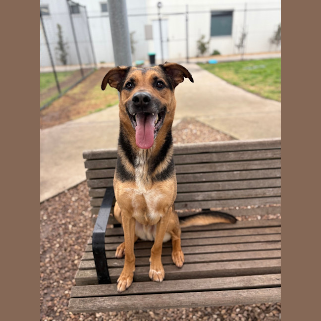 Photo of Ollie (Eddie)