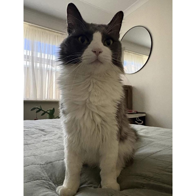 Photo of 11046   Beetroot