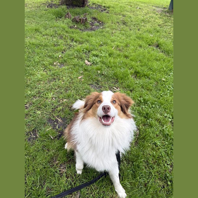 Photo of Momo