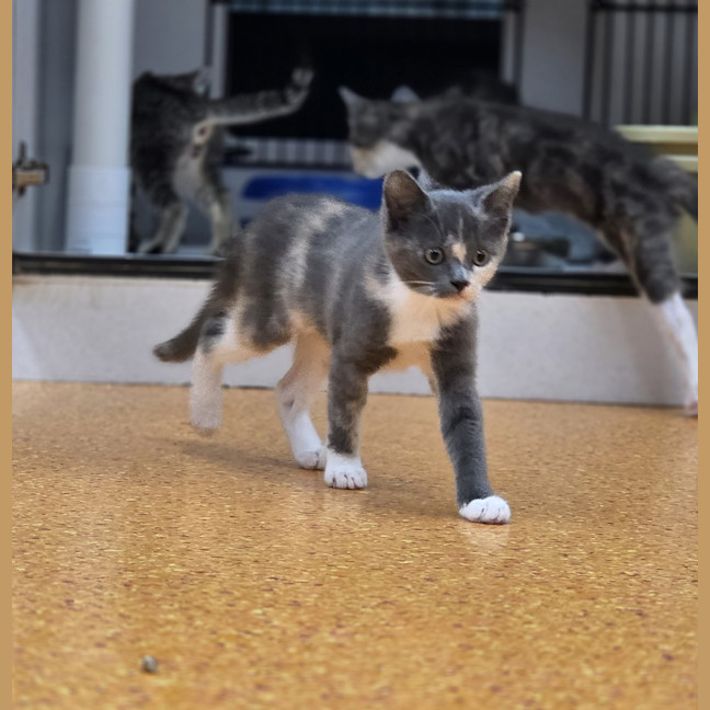 Photo of Buttons