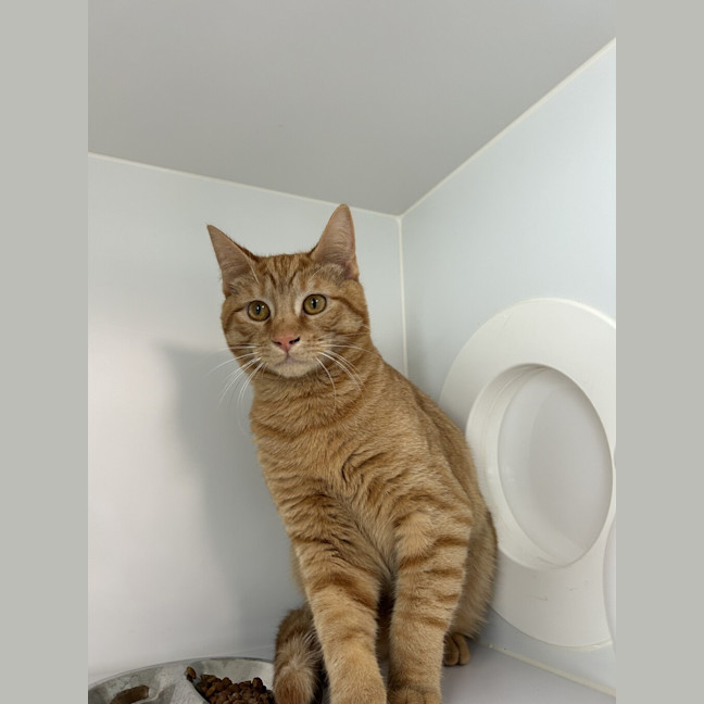 Photo of Bo 