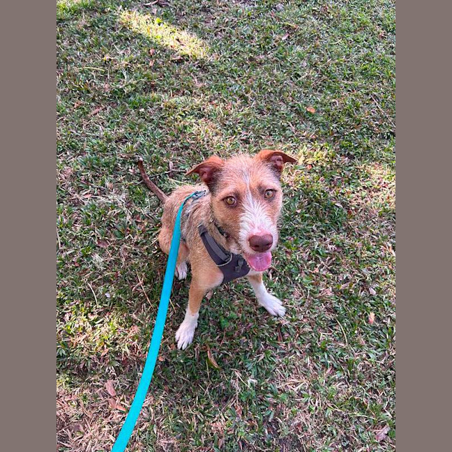Photo of Sasha