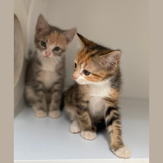 Photo of Helsinki (9961)