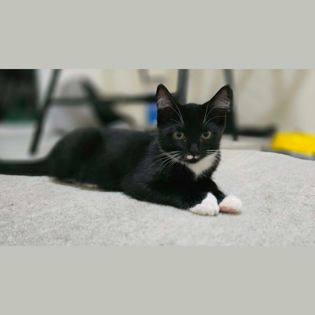 Photo of Bob