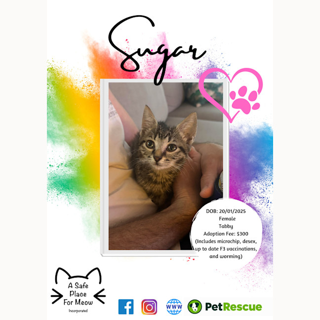 Photo of Sugar