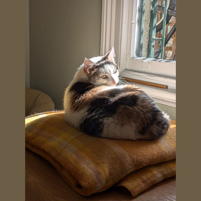 Photo of Princess Peach