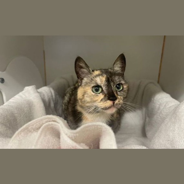 Photo of Mimi