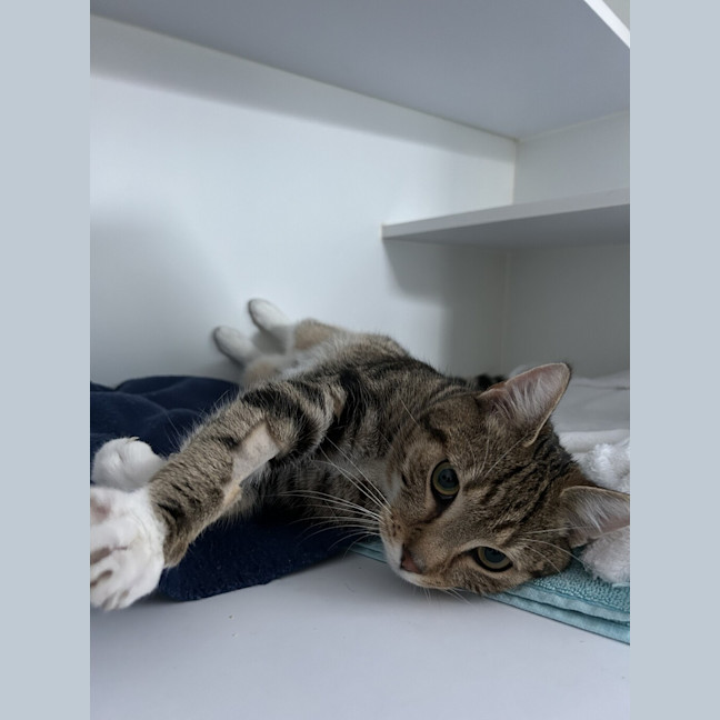 Photo of Louis  