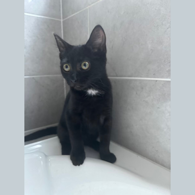 Photo of Orla