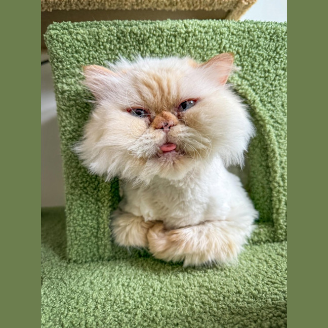 Photo of 🐾Little Bean🐾