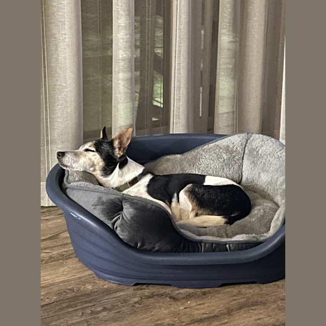 Photo of Billy 