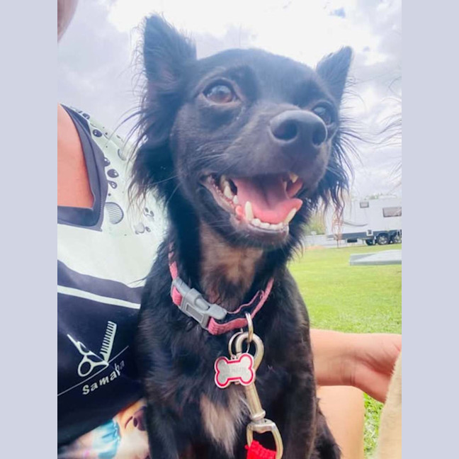 Photo of Missy
