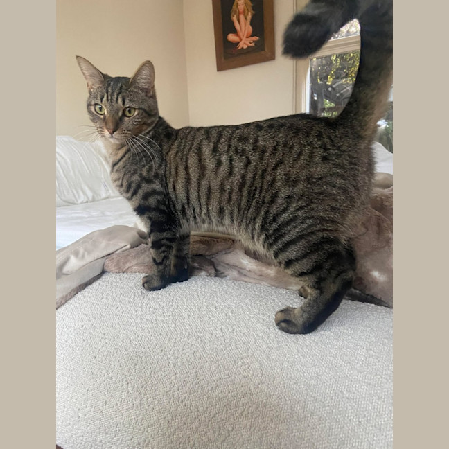 Photo of Mr Maple
