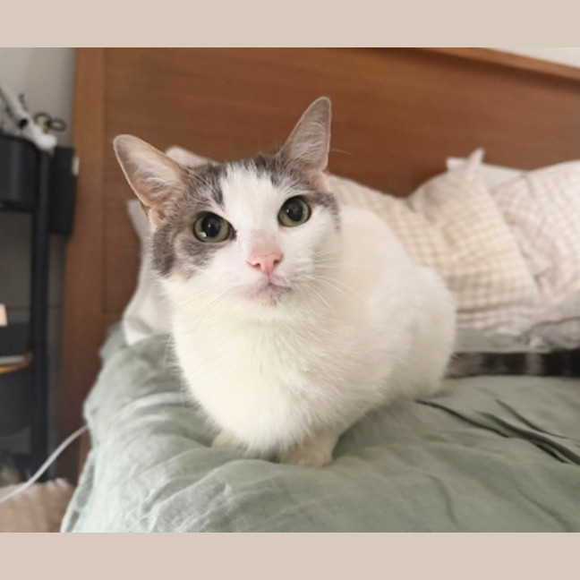 Photo of Willow