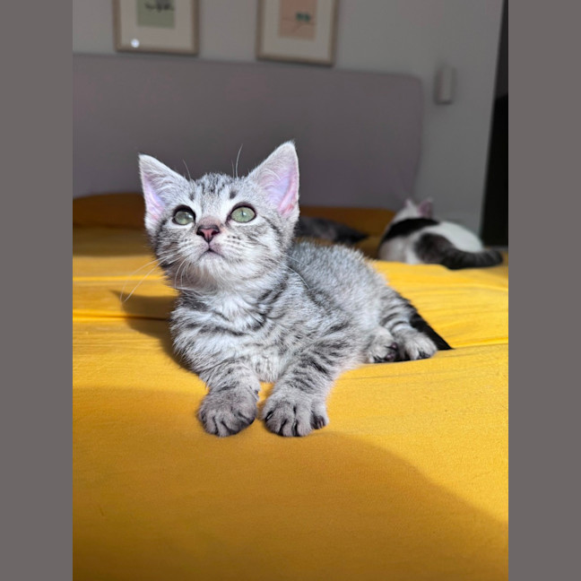 Photo of Twinkles 🌟