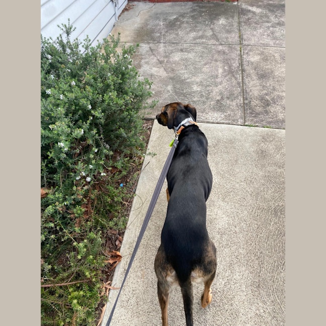 Photo of Lucy