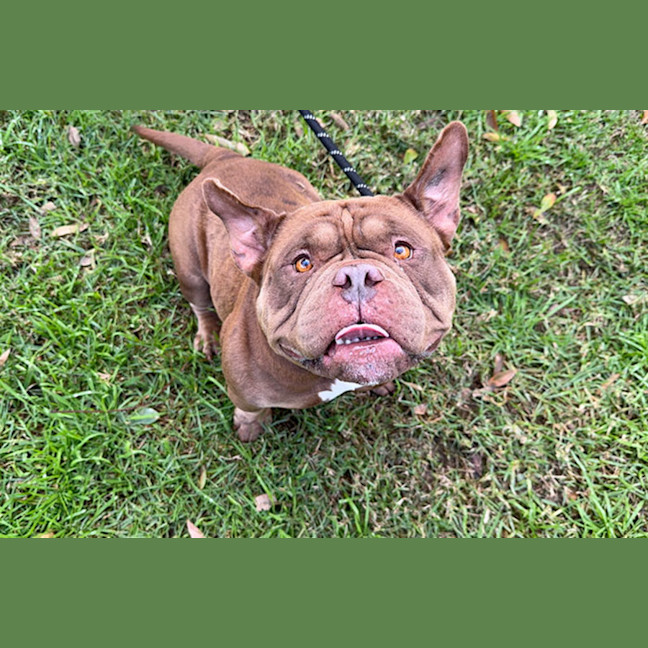 Photo of Hazel