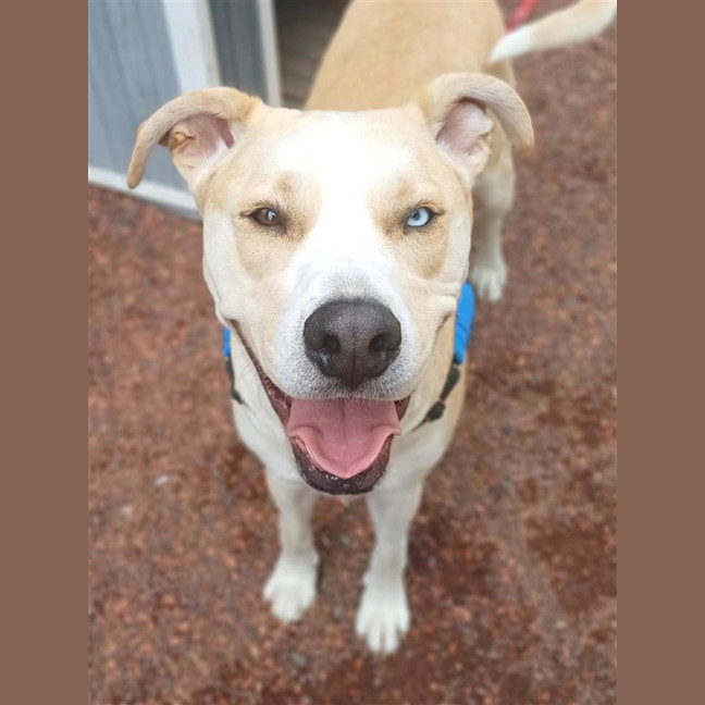 Photo of Albert (Now Albie)