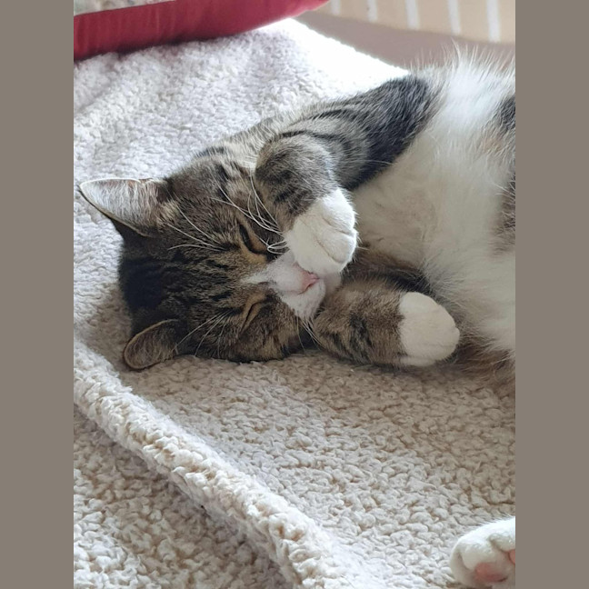 Photo of Miguel / Sarah