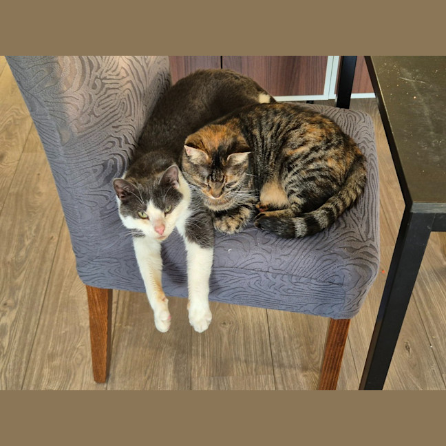 Photo of Stu / Sophie