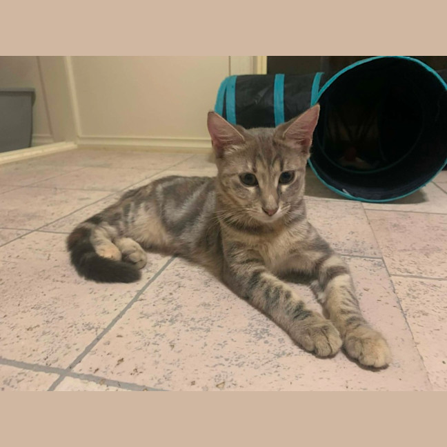 Photo of Zoe 
