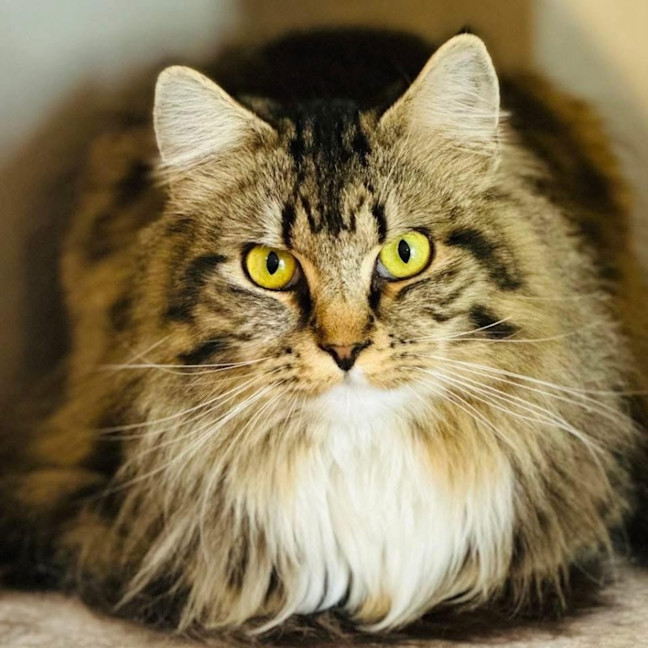 Photo of 12531   Mr Tabbs