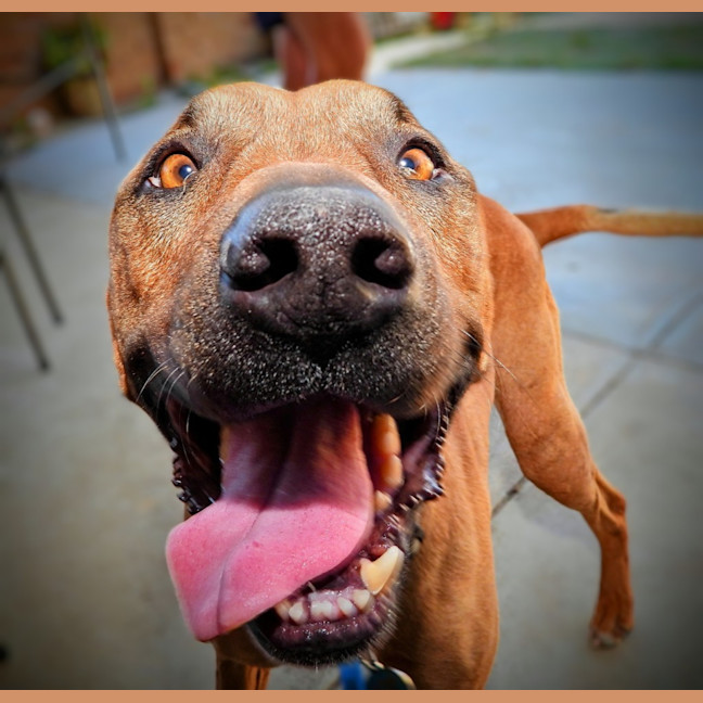 Photo of Lucy