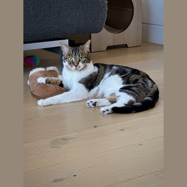 Photo of Amelia & Georgie   In Foster Care In Northcote