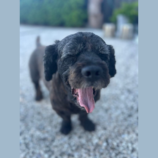 Photo of Lucy And Stanley