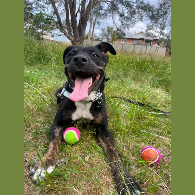 Photo of Macy