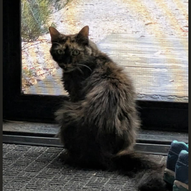 Photo of Belle 