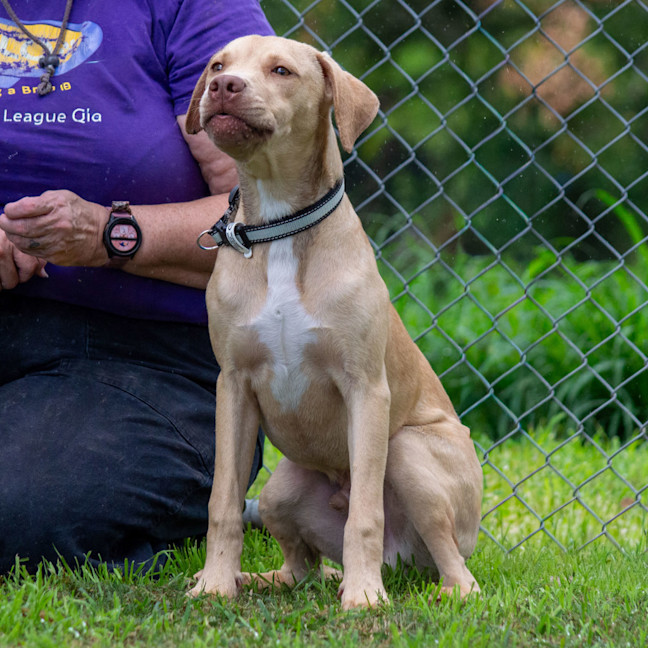 Photo of Cash