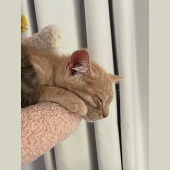 Photo of Pumpkin & Malcolm