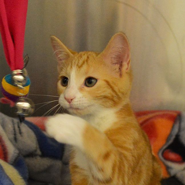 Photo of Sammie