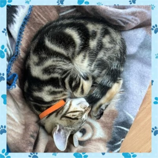 Photo of Jack