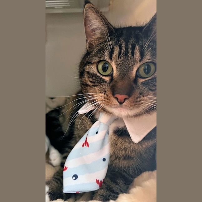 Photo of Coda