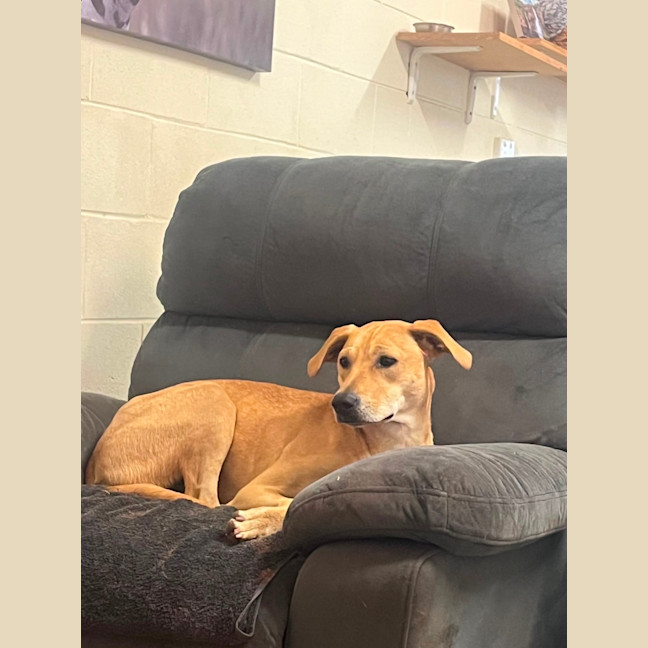 Photo of Daphne