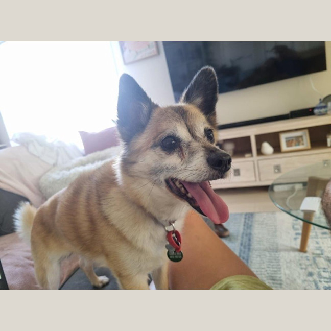 Photo of Leo O’cleary