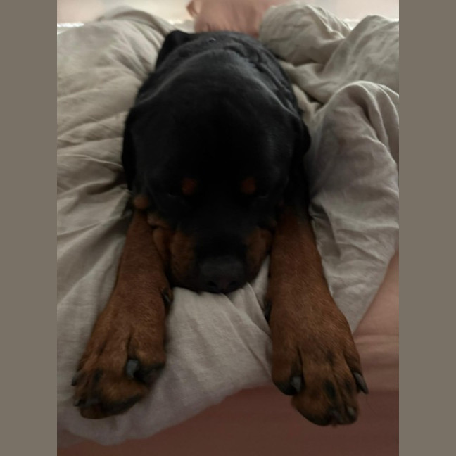 Photo of Duke