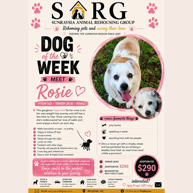 Photo of Rosie 