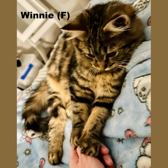 Photo of Winnie