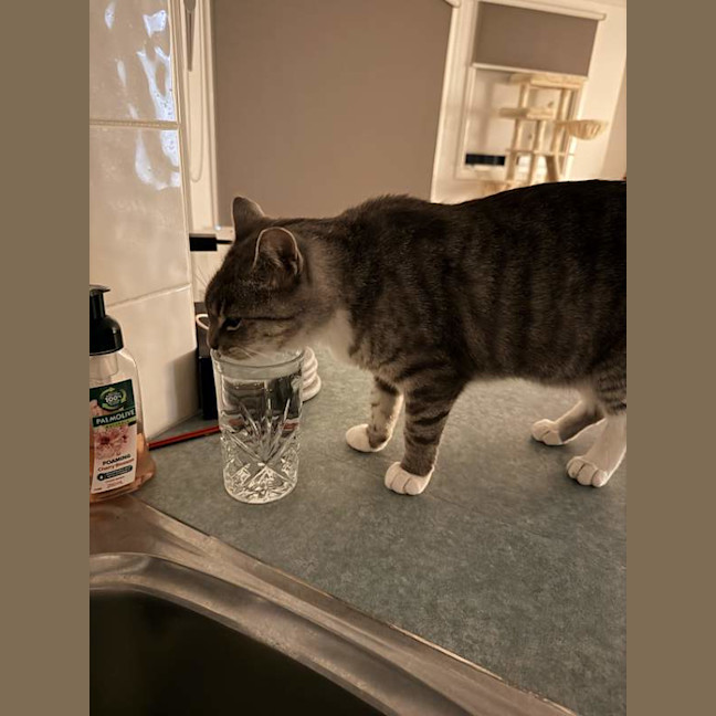 Photo of Thunda