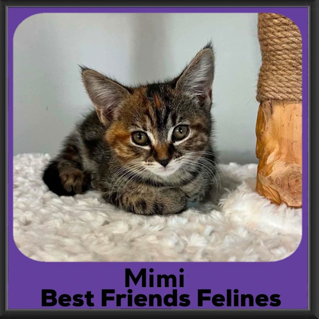 Photo of Mimi