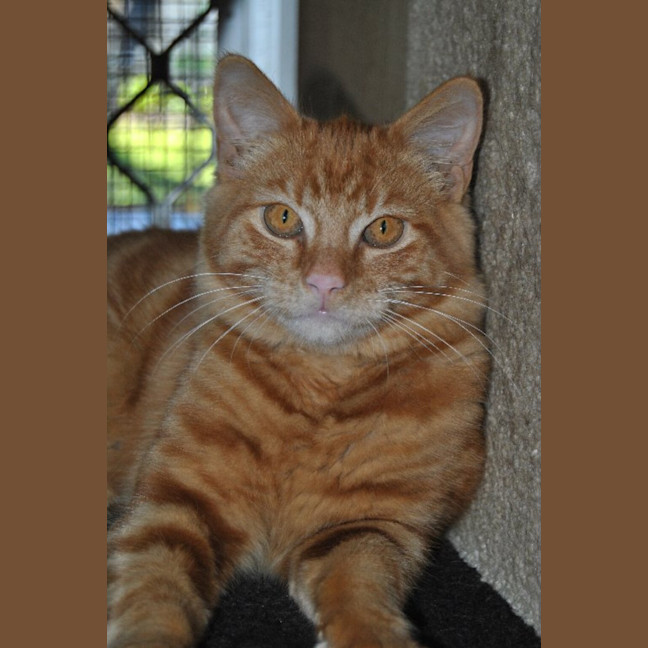 Photo of Jasper