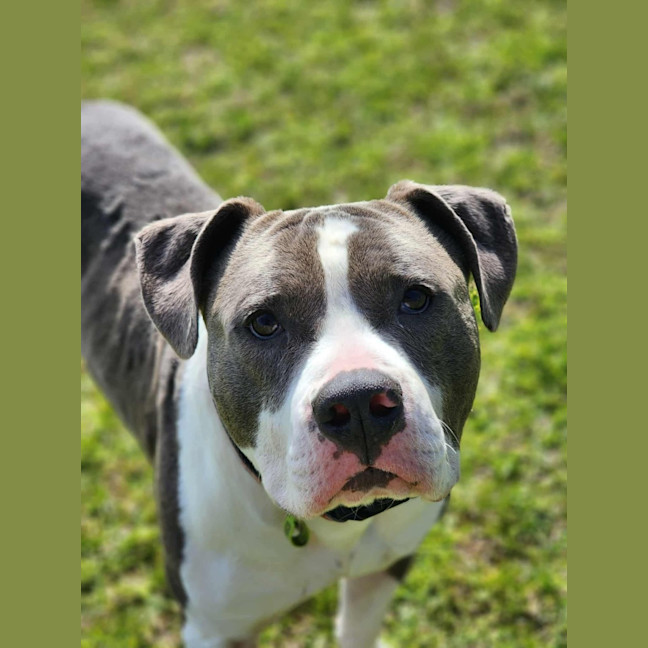 Photo of 🧱 Mason 6377 🧱