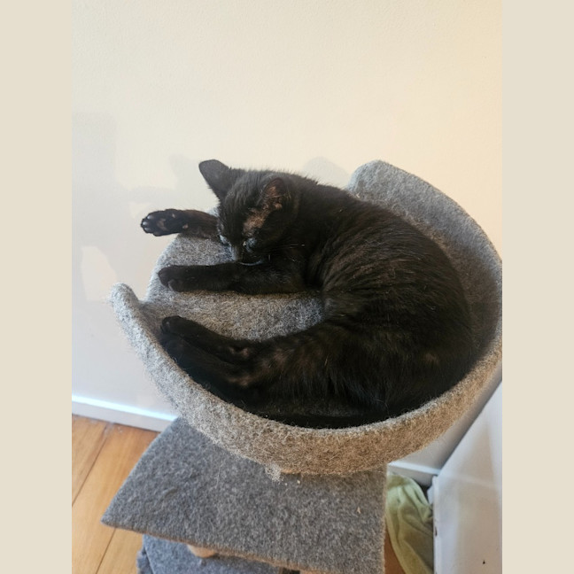 Photo of Clawdia