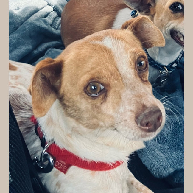 Photo of Solo
