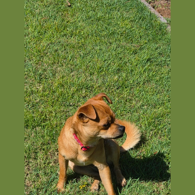 Photo of Boots 