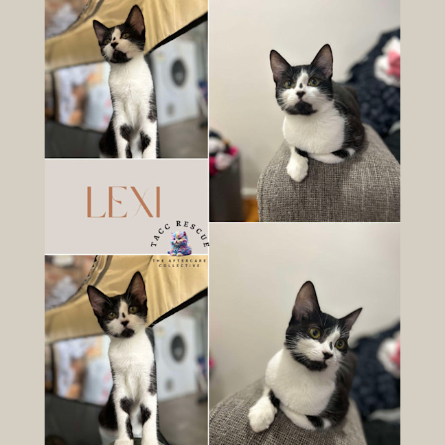 Photo of Lexi